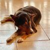 milito1